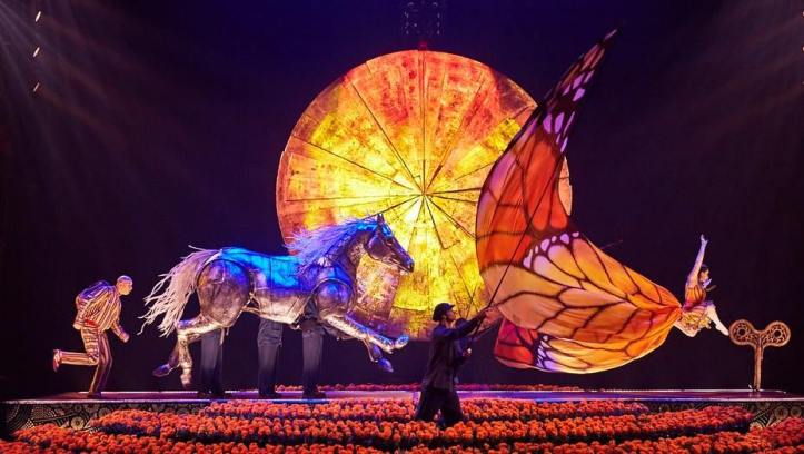 15078874_1052298488229338_3559342368993784537_n